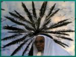 الصورة الرمزية aljreee7